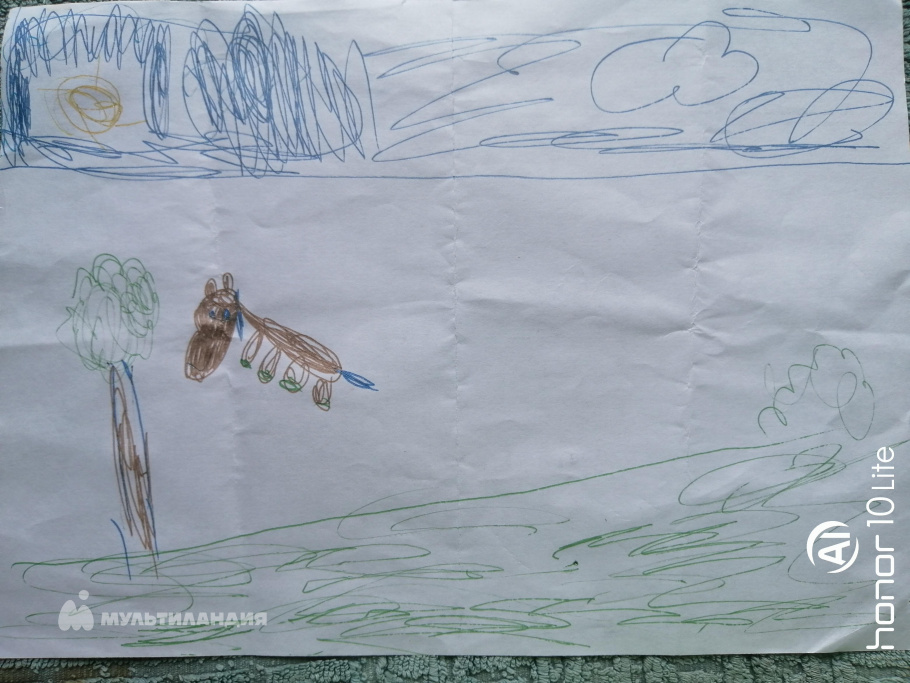 Сидоренкова  Варвара 