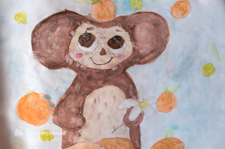 Ракушина  Дарья