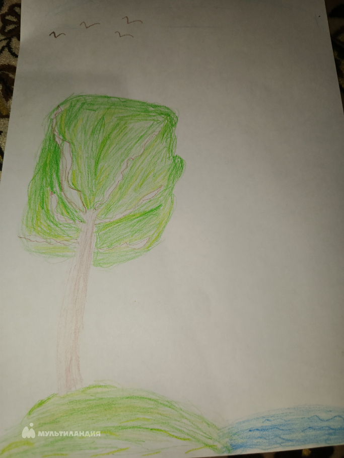 Зенин Владислав