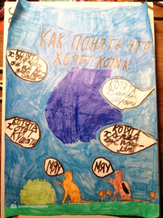 Бояринцева  Полина 