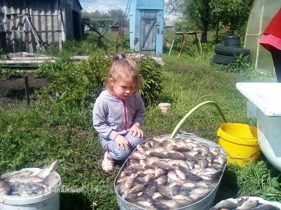 Максименкова Виктория