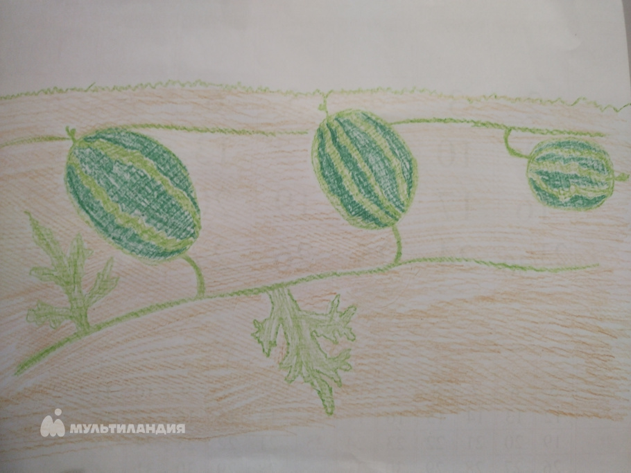 Осинцев Денис