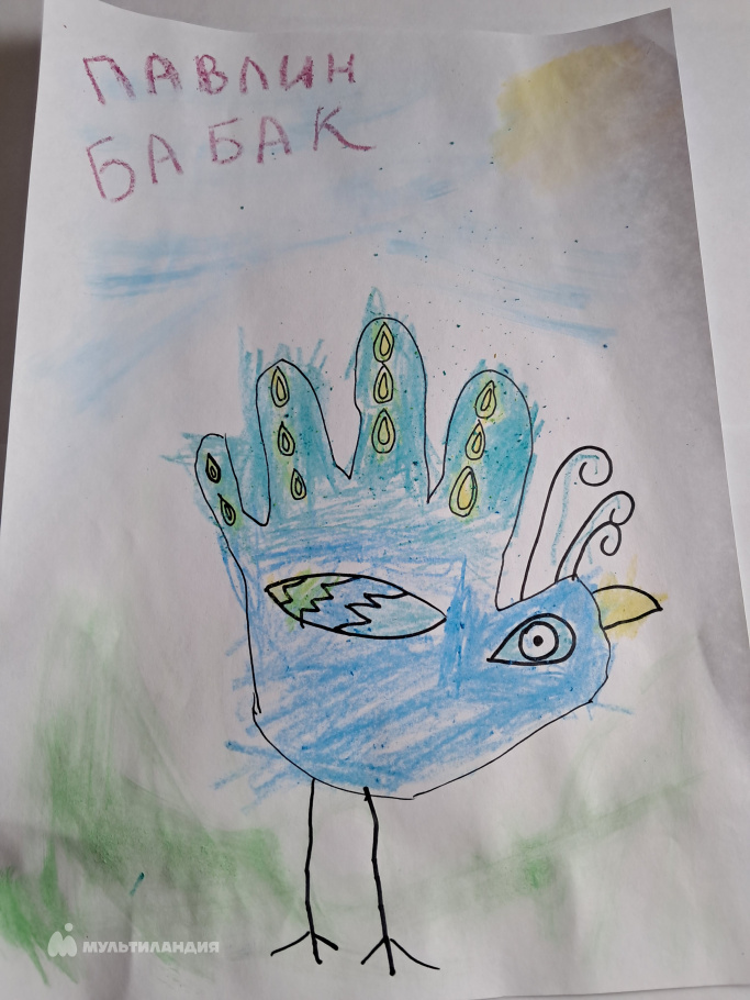 Кокина Алиса