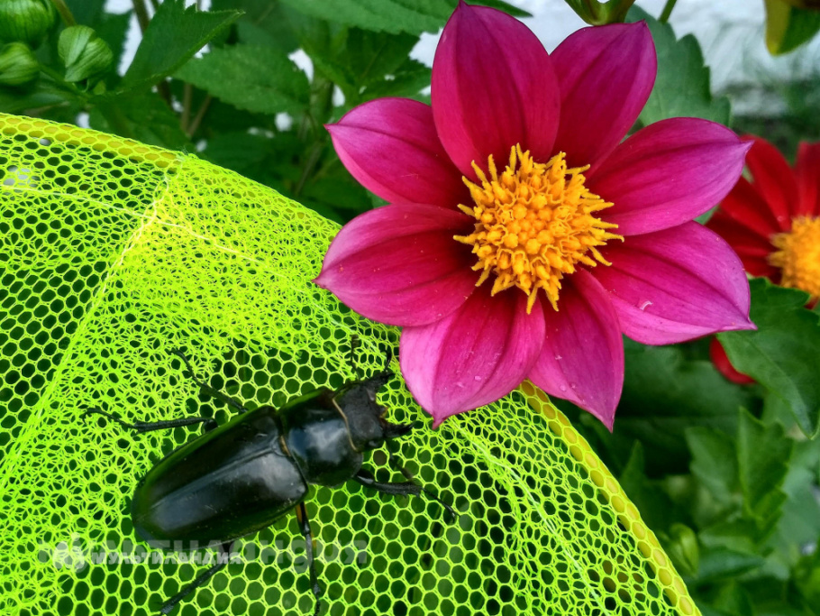 Казаков Андрей