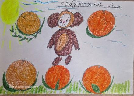 Шуваев Дмитрий