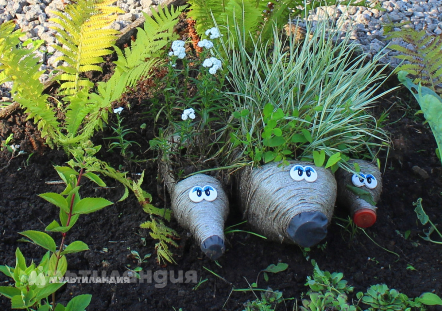 Сушинина Виктория