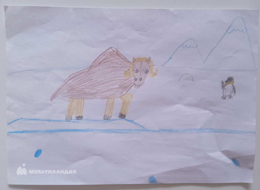 Мурадов  Никита 