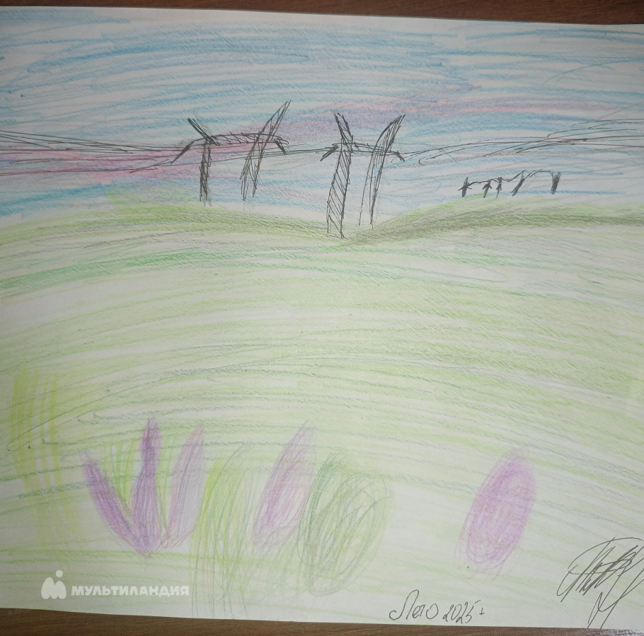 Толстов Матвик