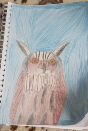 Старостин  Захар