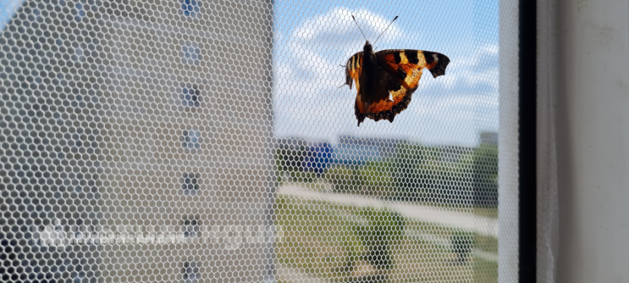 Огаркова Анна