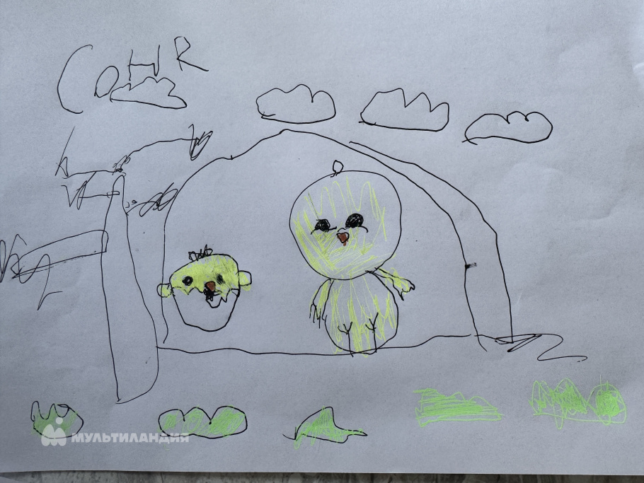 Шалухина София