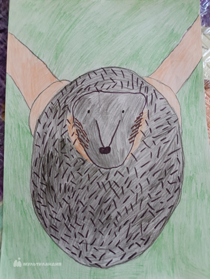 Скрябина Елизавета