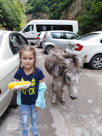 Софья Солоненко, 9 лет.