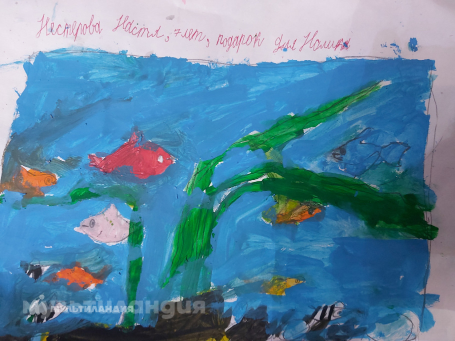 Нестерова Анастасия