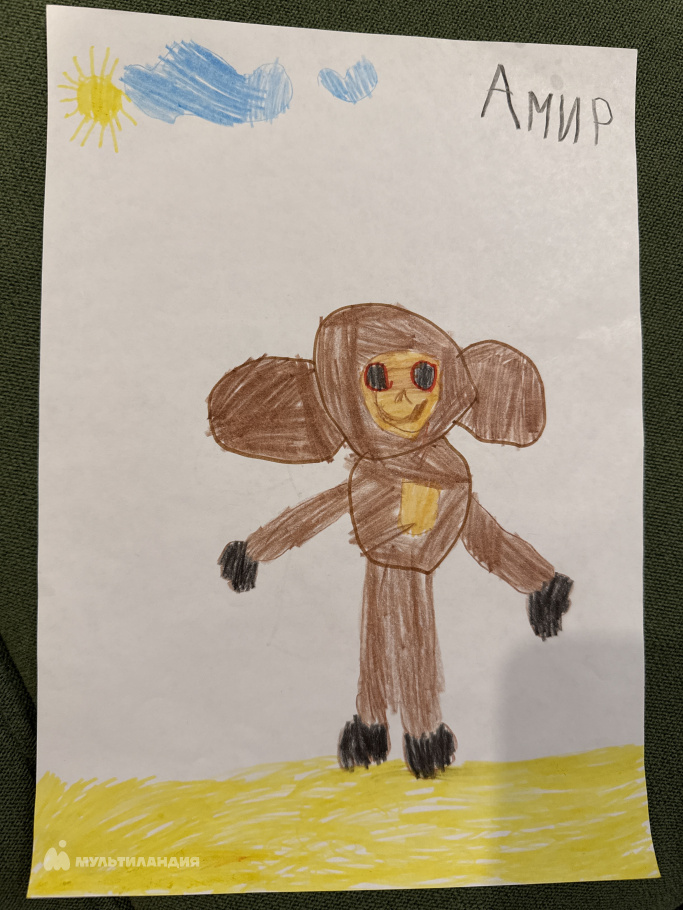 Мухаметшин  Амир