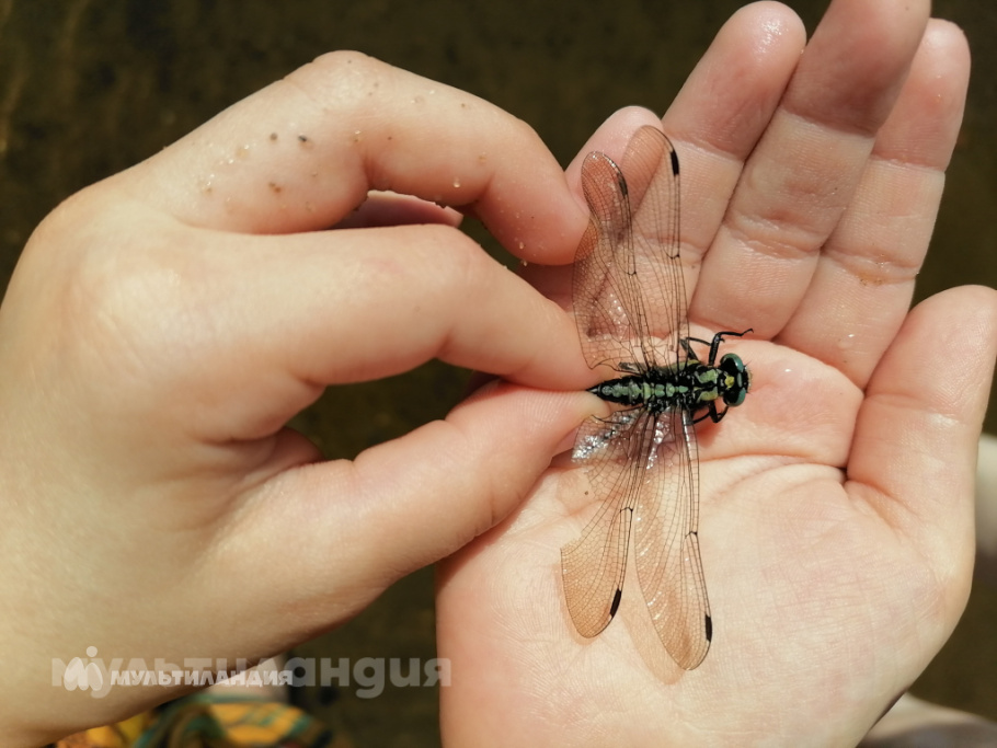 Шкирмонтова Настя 6 лет