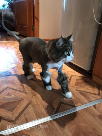 Участник