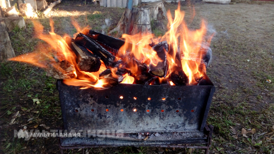 Покушев Михаил 9 лет