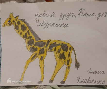 Яловенко  Дарья