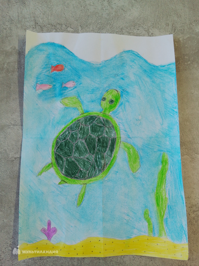 Желудкова Анджелика