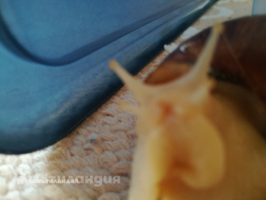 Маргарита Шундеева