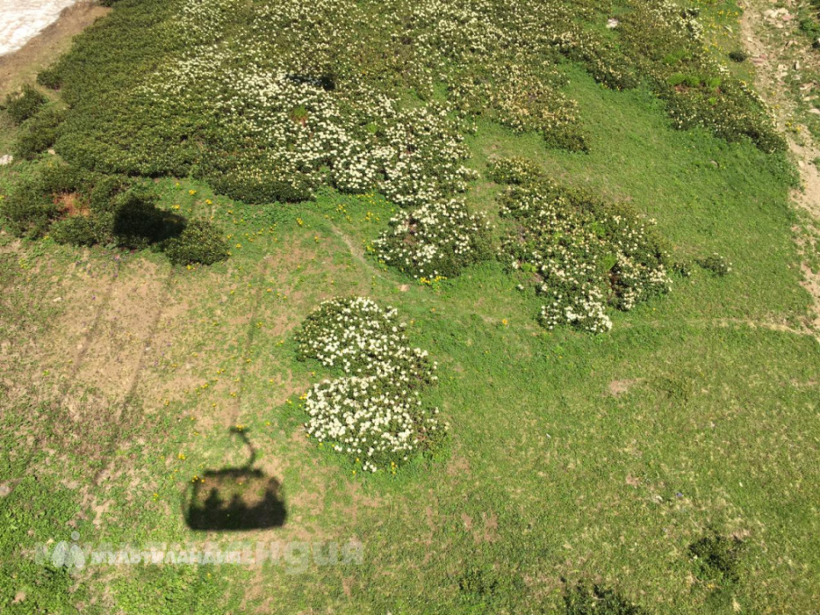 Павел Егоров