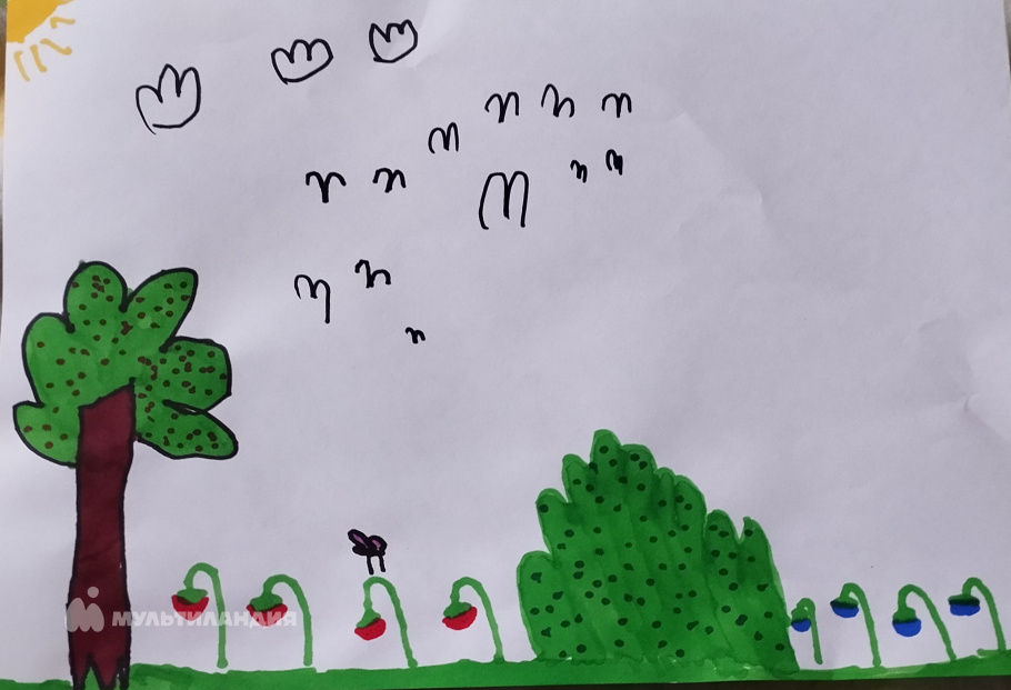 Бережненко Елизавета