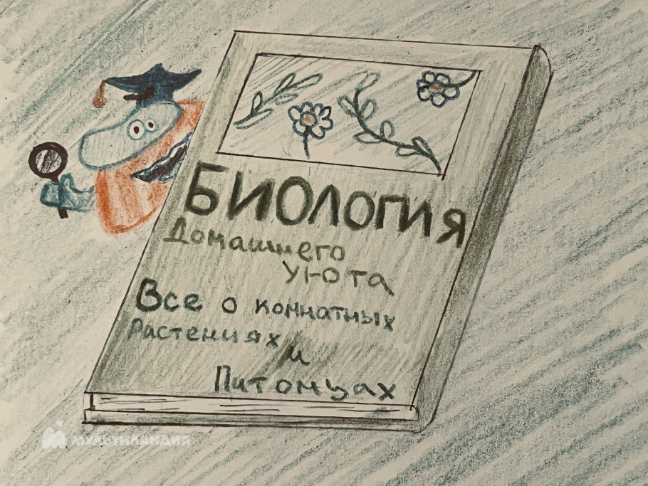 Маслова  Дарья