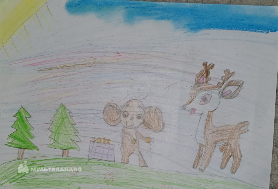 Ардаширова  Аиза 