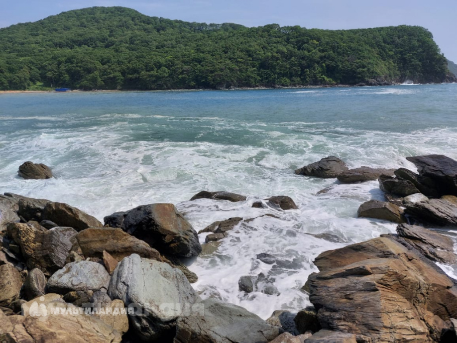 Захарова Милана Кирилловна