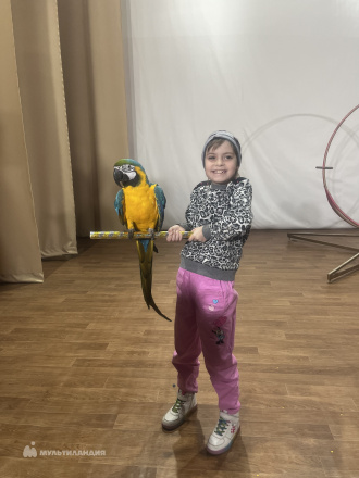 Сурженко  Полина