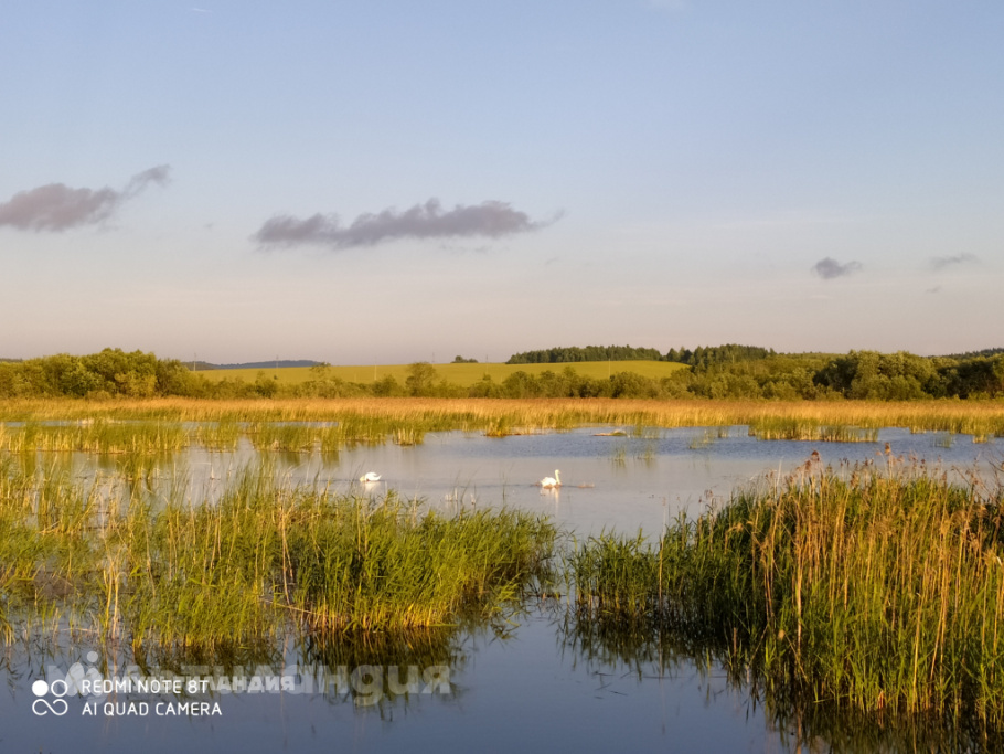 Алиса Миннуллина