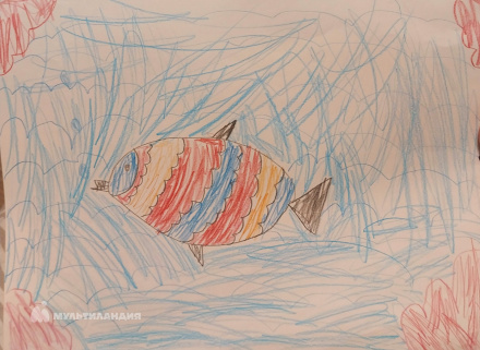 Кузьмич  Алексей 