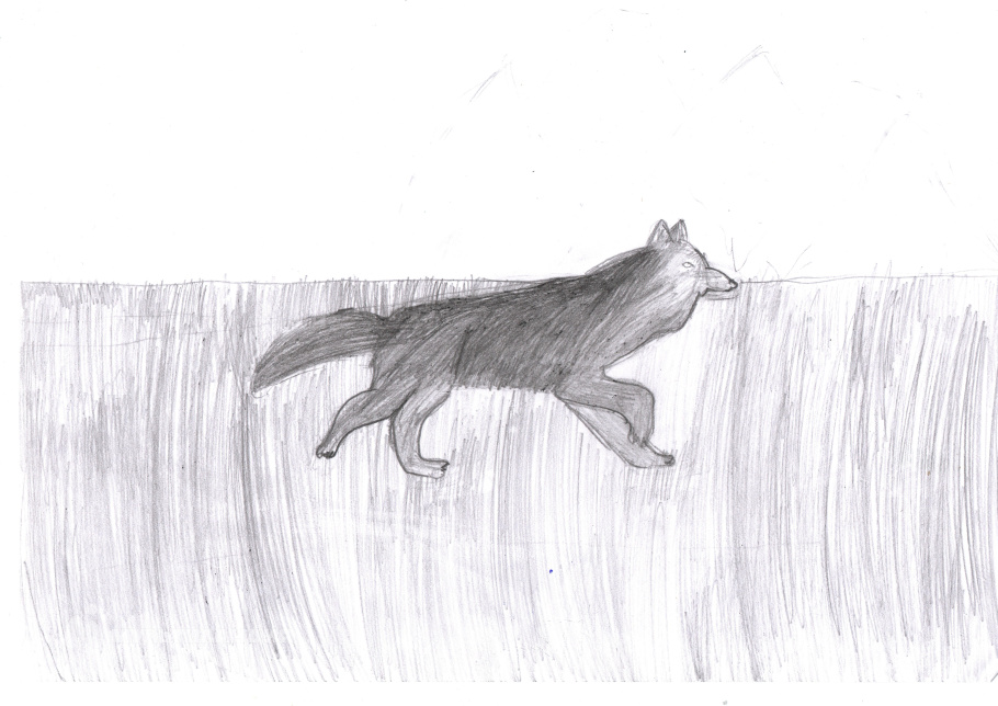 Шевцова Агния