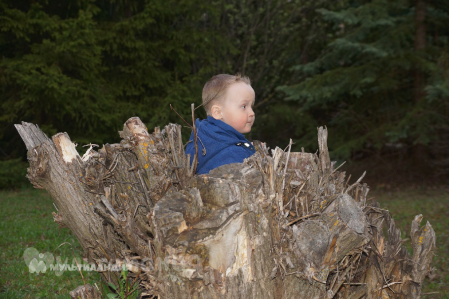 Саша Тимофеев