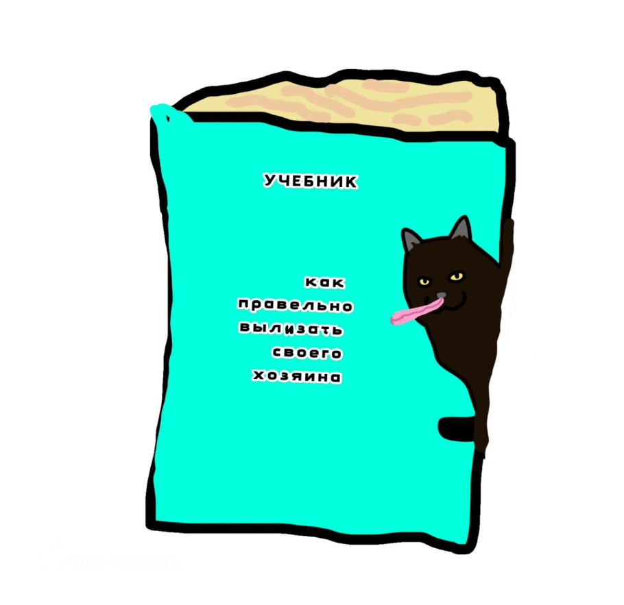 Куприхина  Алина 