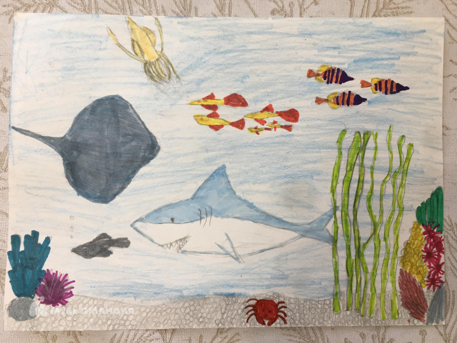 Афанасьева  Кристина 