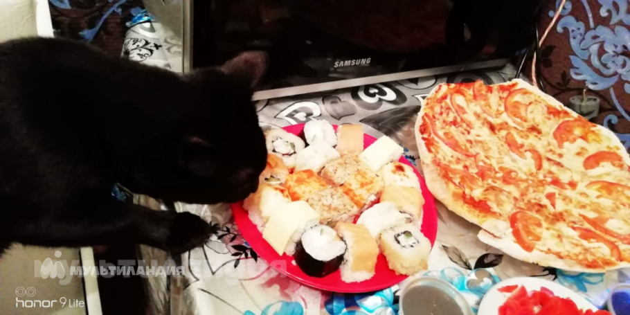 Бушуева Кира