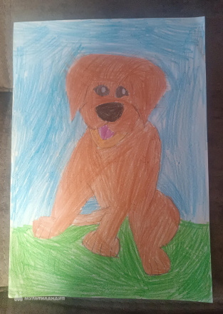 Романцов Кирилл