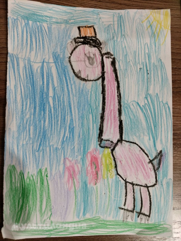 Вита Маркова