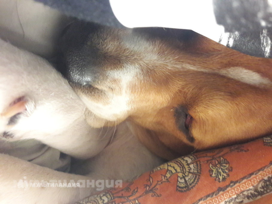 Титкова Варвара.