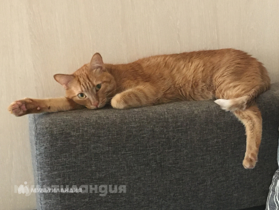 Маша Барышникова