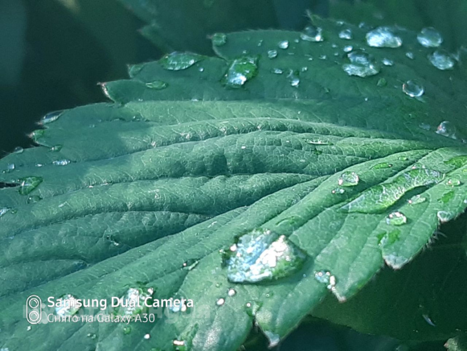 Даша Лакеева