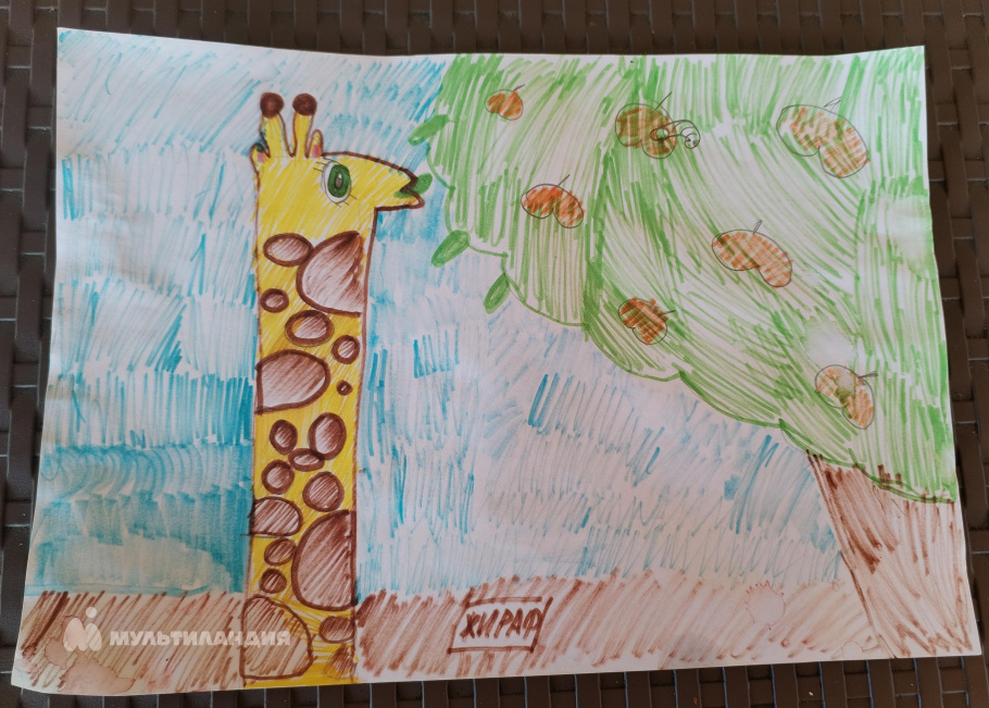 Павликова Юлия