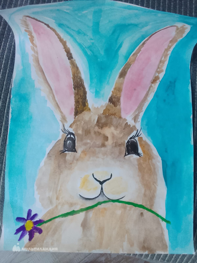 Мягченко София  