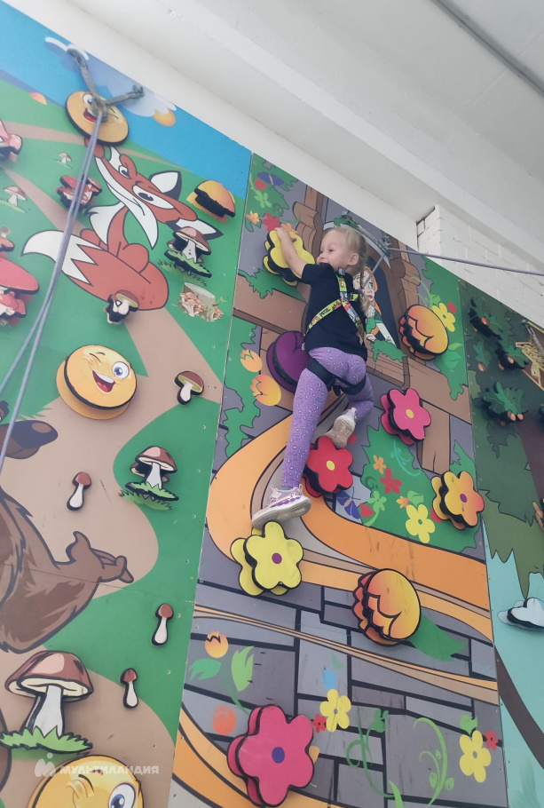 Курысева Татьяна 