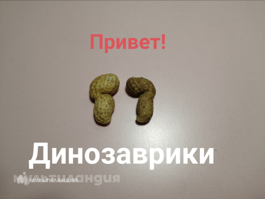 Полина Степанчук Олеговна, 8 лет.