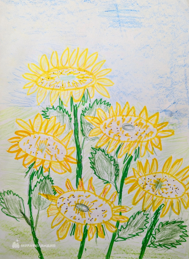 Денисов  Данила