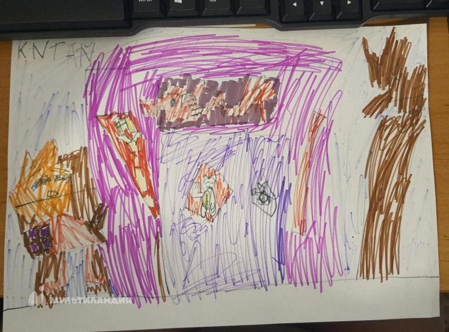 Николаева  Дарья