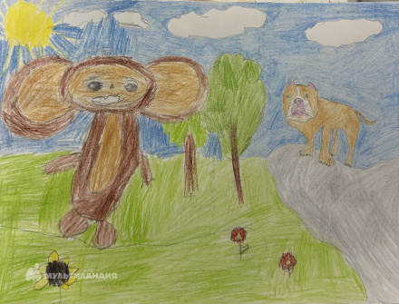 Покотаев  Никита 